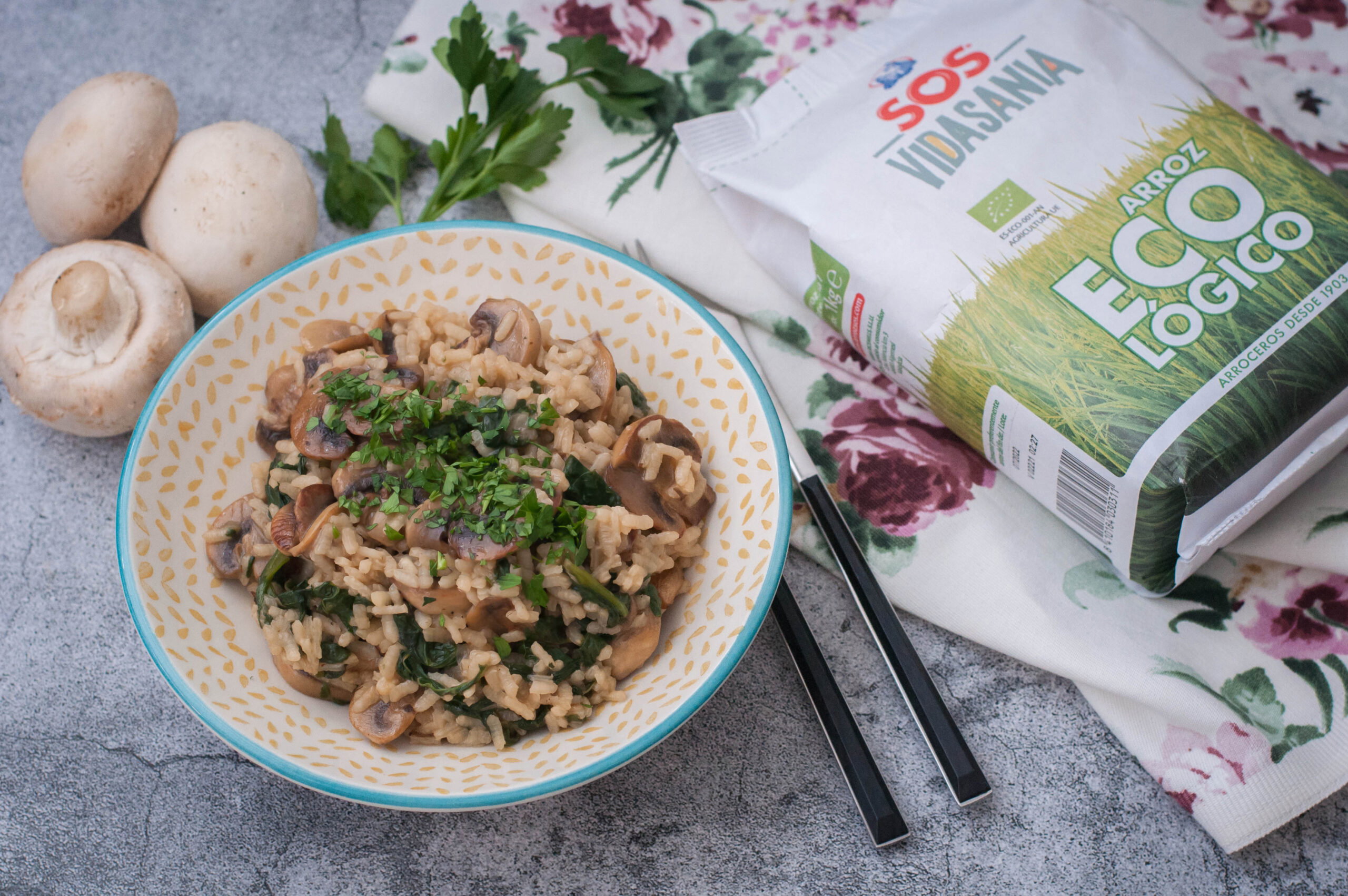 Arroz vegetariano 25