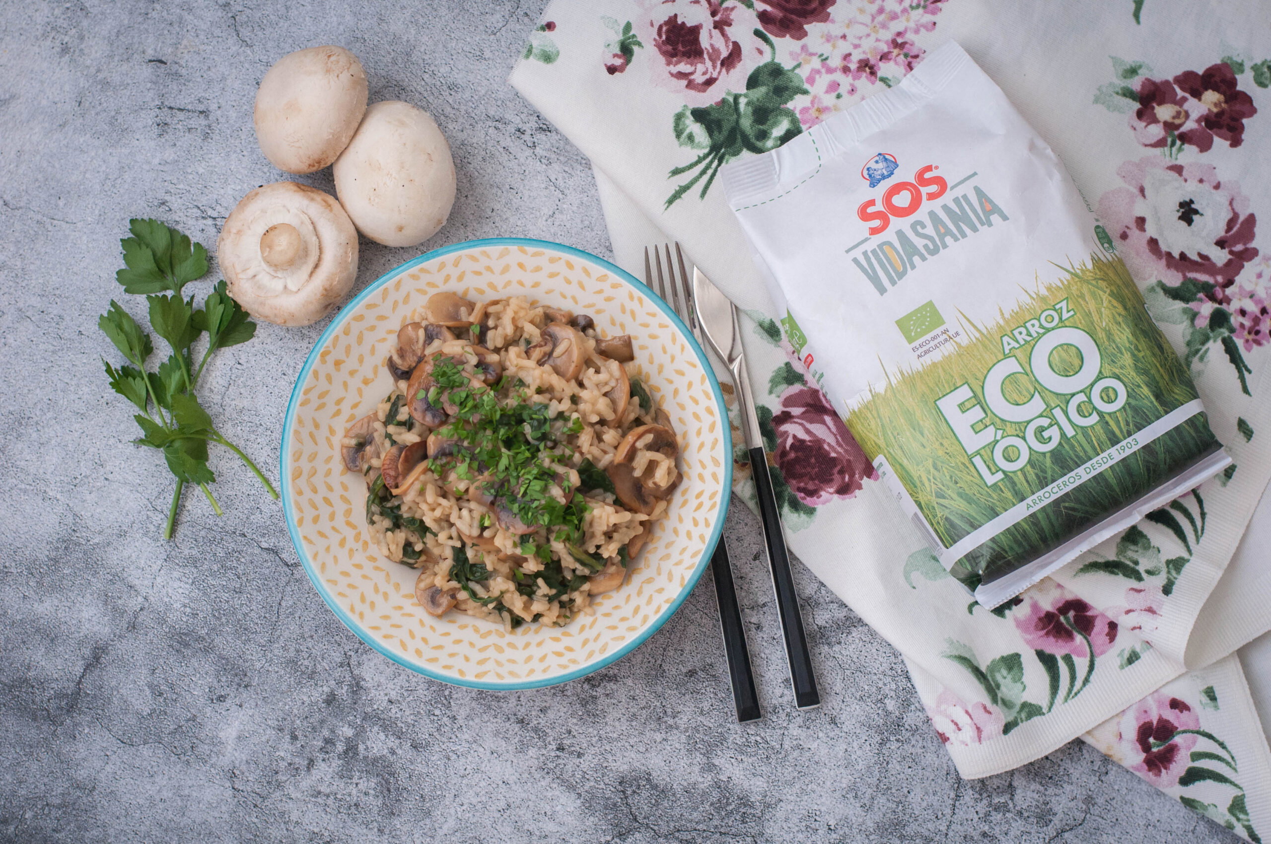 Arroz vegetariano 26