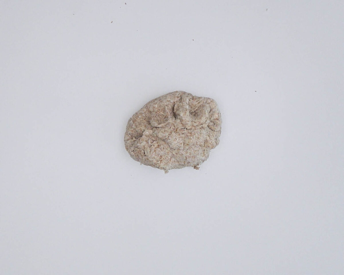 Pan integral casero, estilo chapata (6)