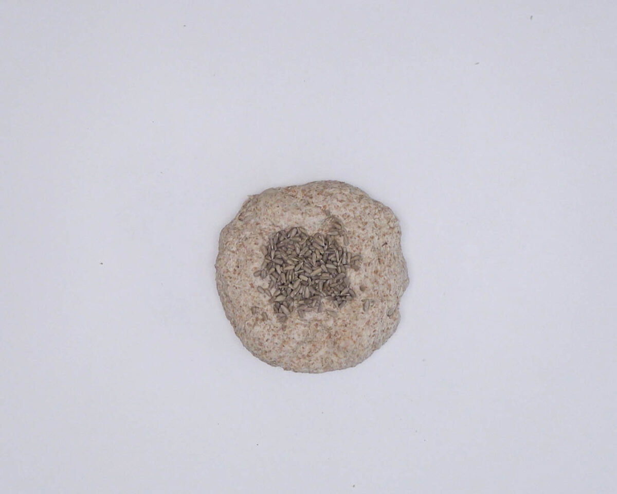 Pan integral casero, estilo chapata (7)