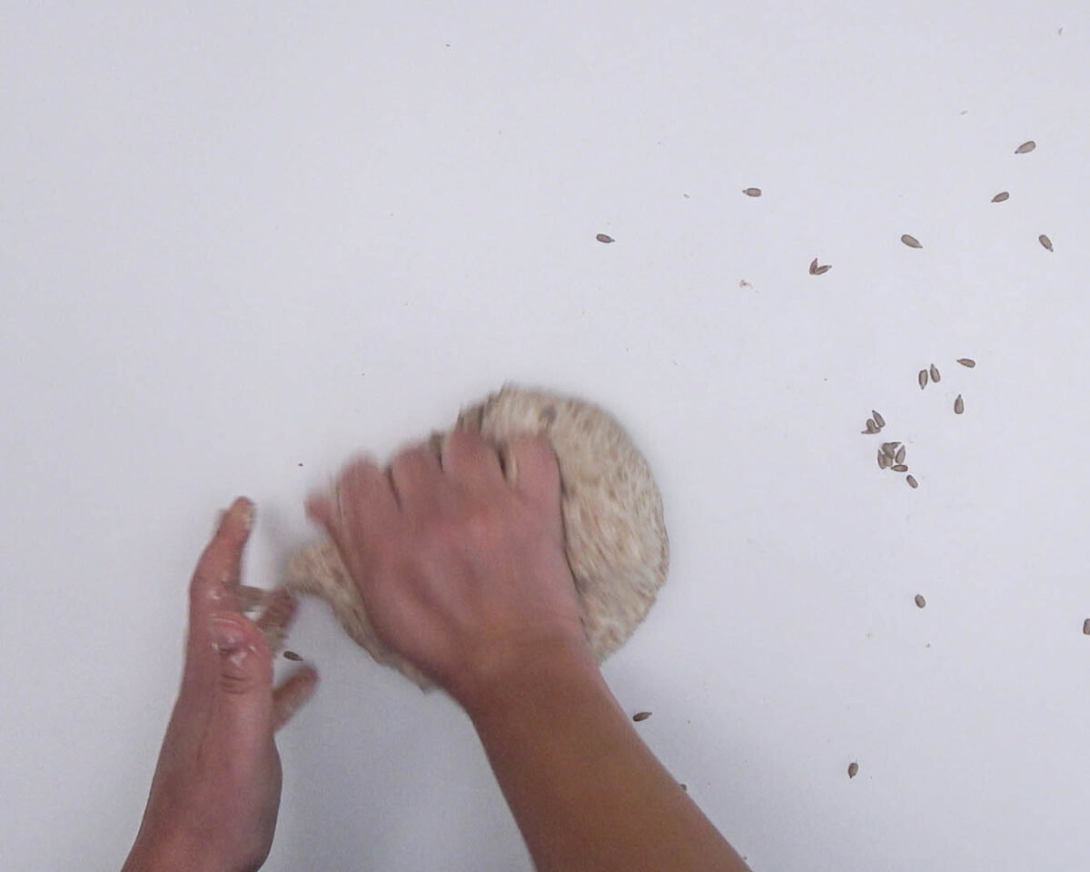 Pan integral casero, estilo chapata (8)