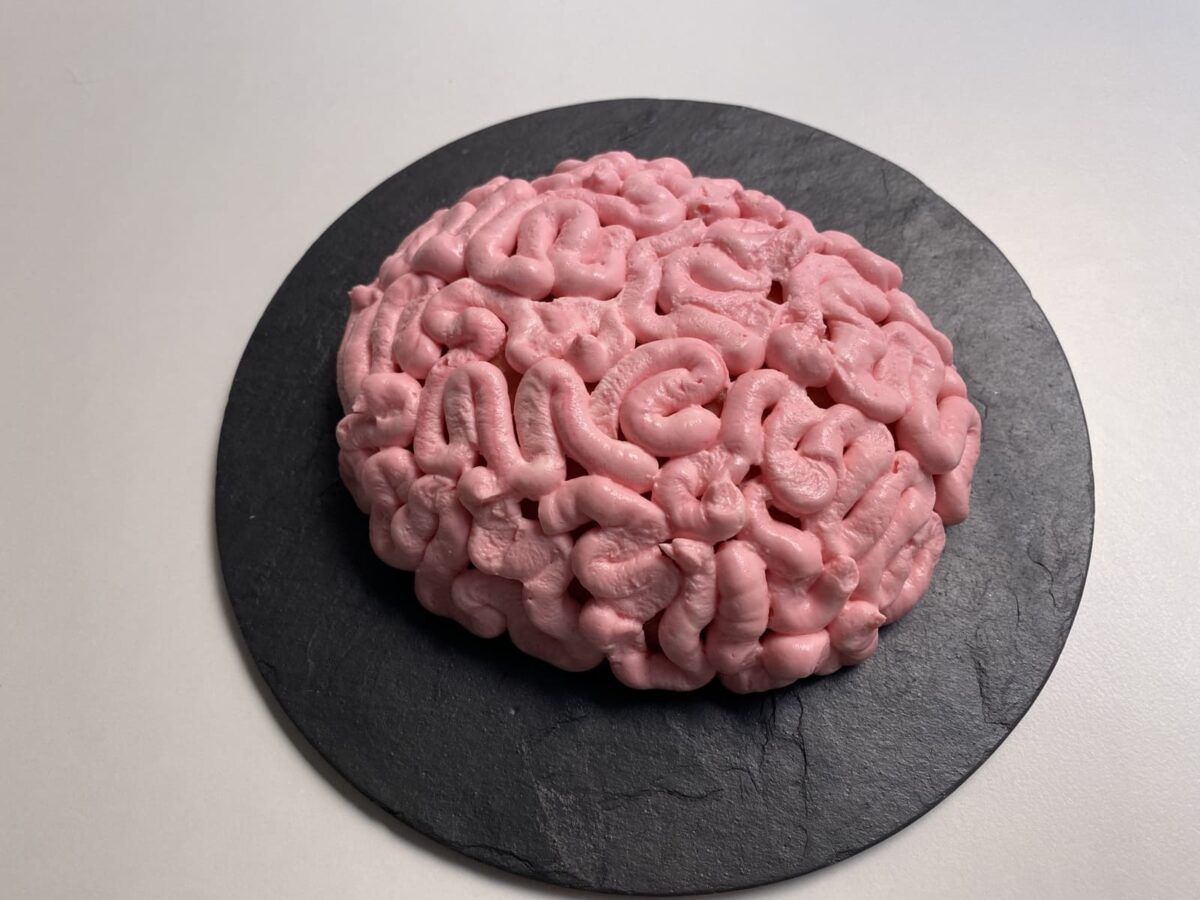 Tarta cerebro (12)