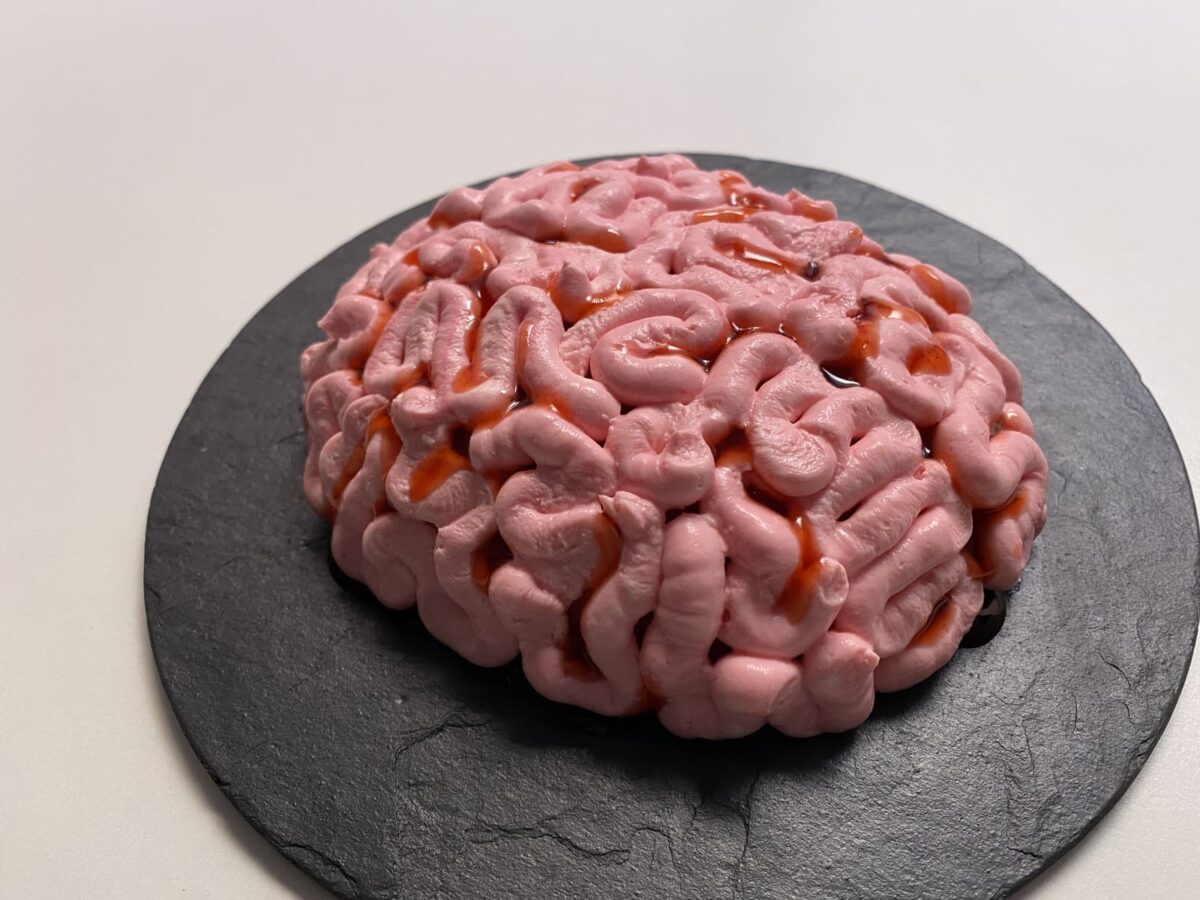 Tarta cerebro (13)