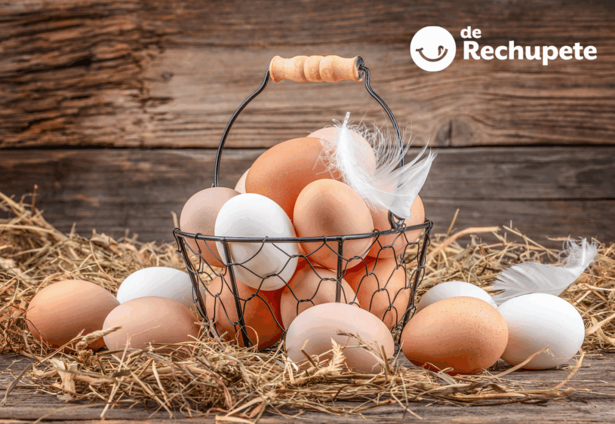 Los huevos, un tesoro nutricional. ¿Dónde se guardan?