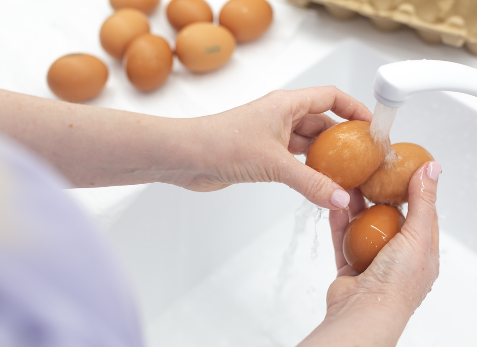 Los huevos, un tesoro nutricional. ¿Dónde se guardan?