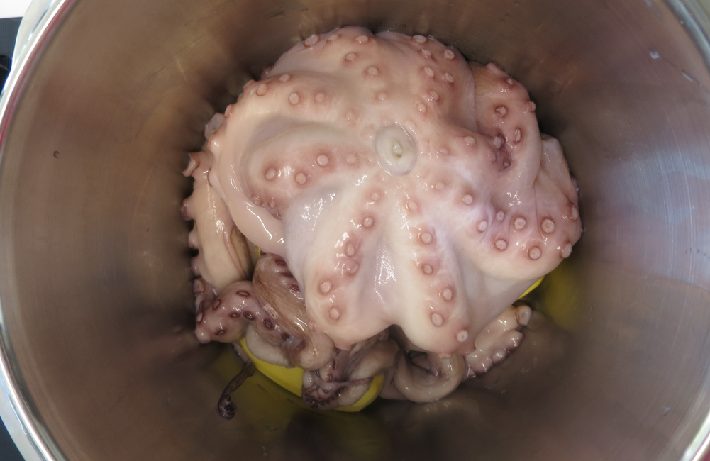 Pulpo en olla express