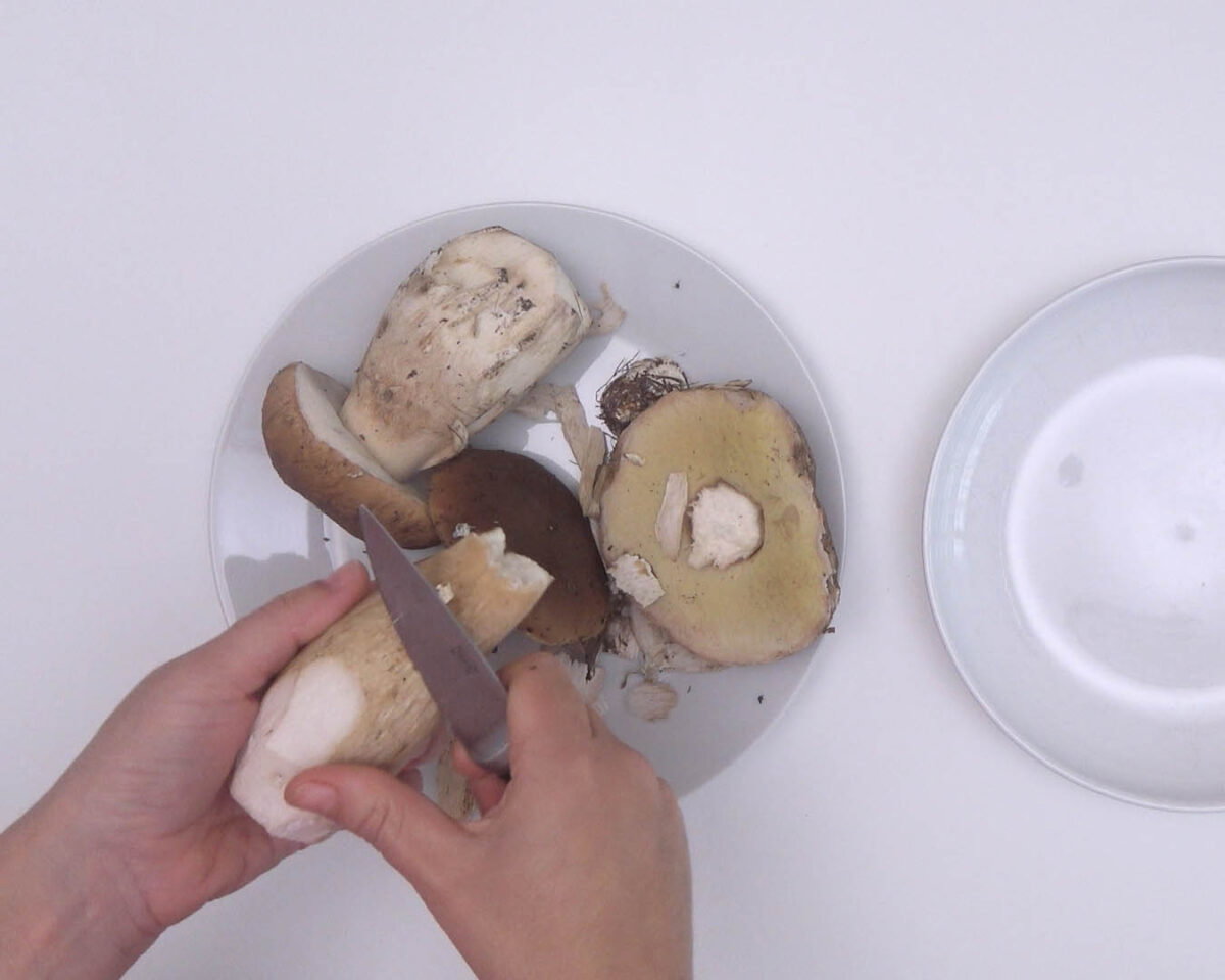rigatoni con setas boletus y queso brie (6)