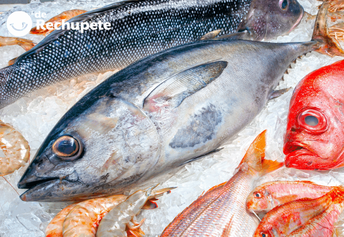 Tipos de pescado e ideas para cocinarlo