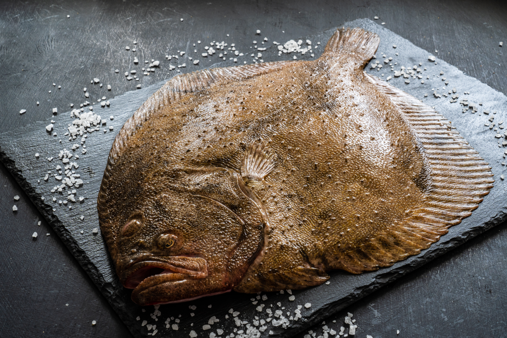 Tipos de pescado e ideas para cocinarlo
