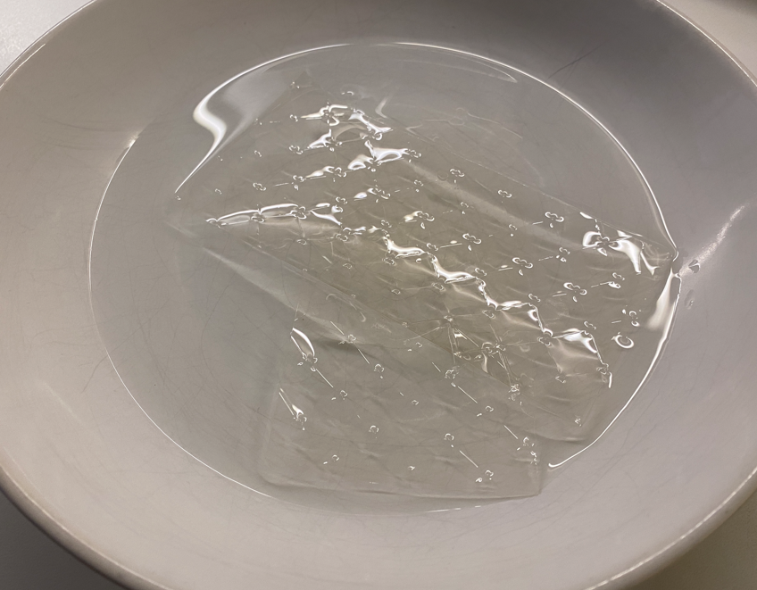 Mousse de arándanos
