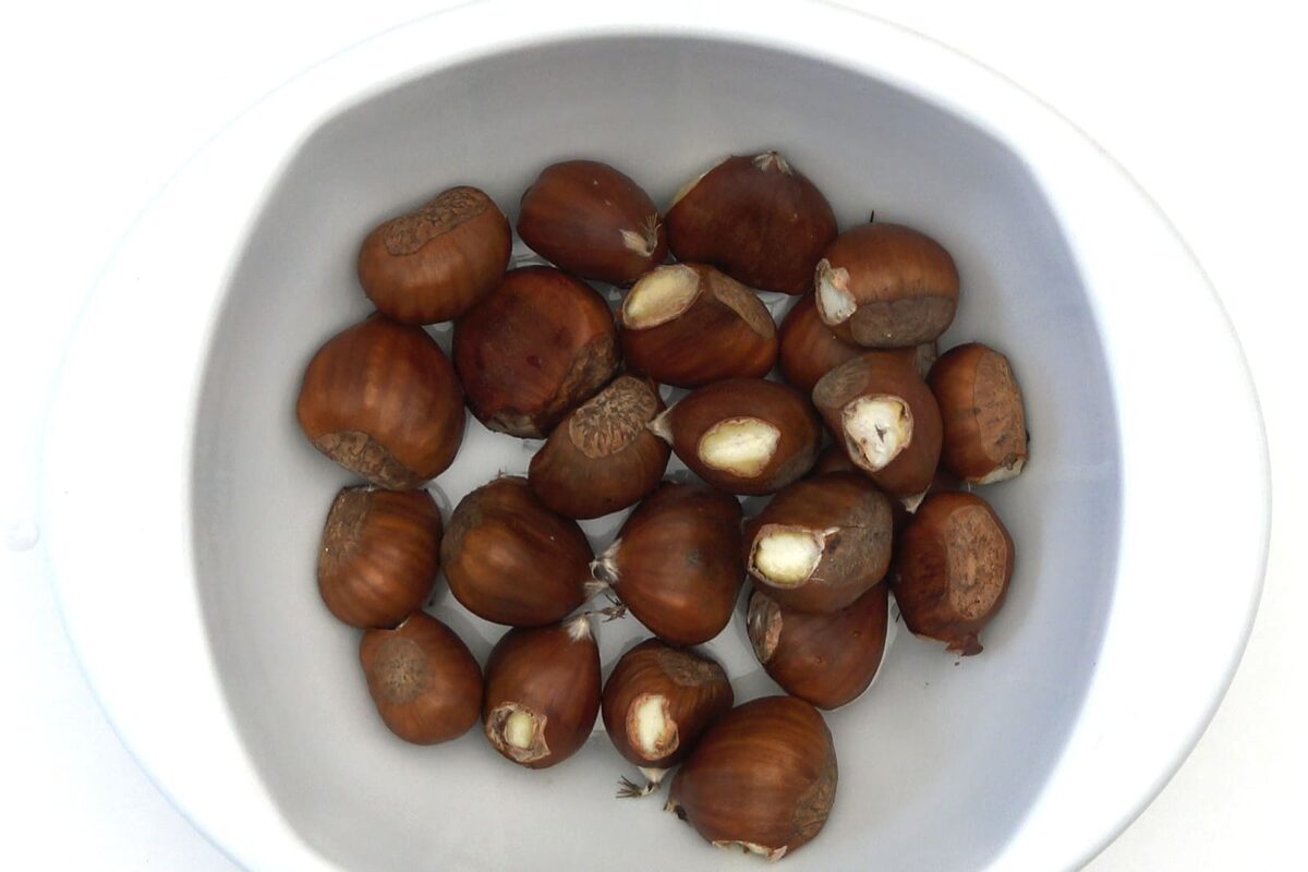 castañas asadas paso 20