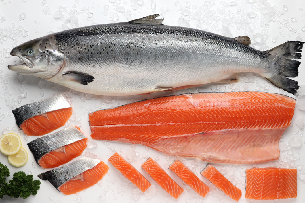 Cómo ahorrar en pescado sin perder calidad: guía definitiva para comprar bien, cocinar mejor y gastar menos