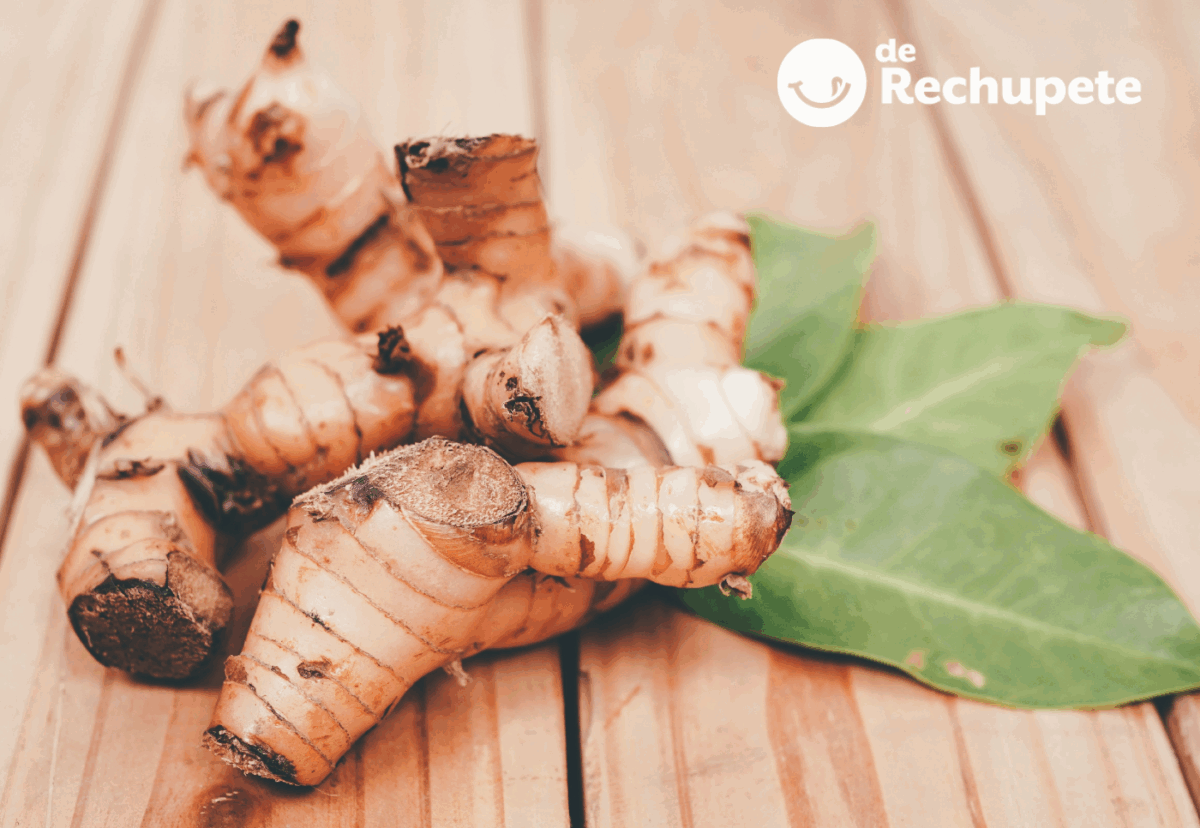Galangal: qué es, para qué sirve y cómo usar esta raíz aromática en tu cocina