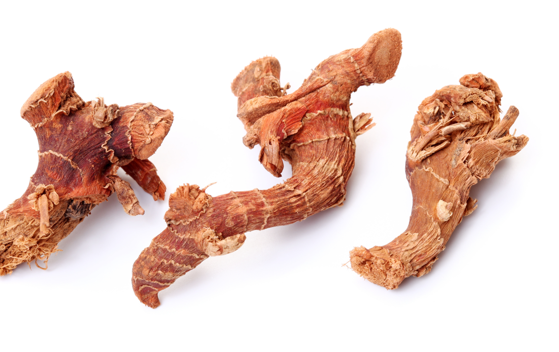 Galangal: qué es, para qué sirve y cómo usar esta raíz aromática en tu cocina