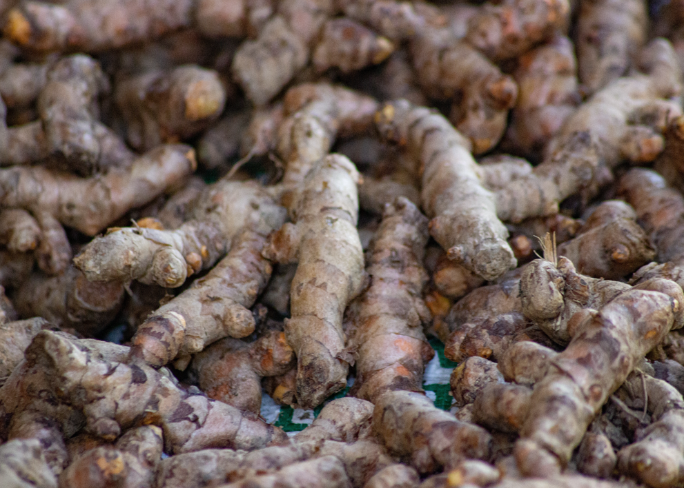 Galangal: qué es, para qué sirve y cómo usar esta raíz aromática en tu cocina