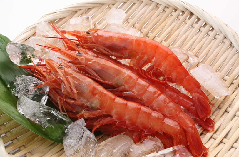 Gambas: origen, variedades, propiedades y cómo usarlas en la cocina
