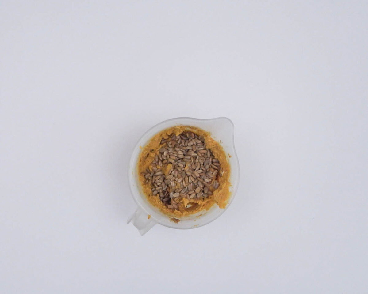hummus con pipas de girasol paso 10