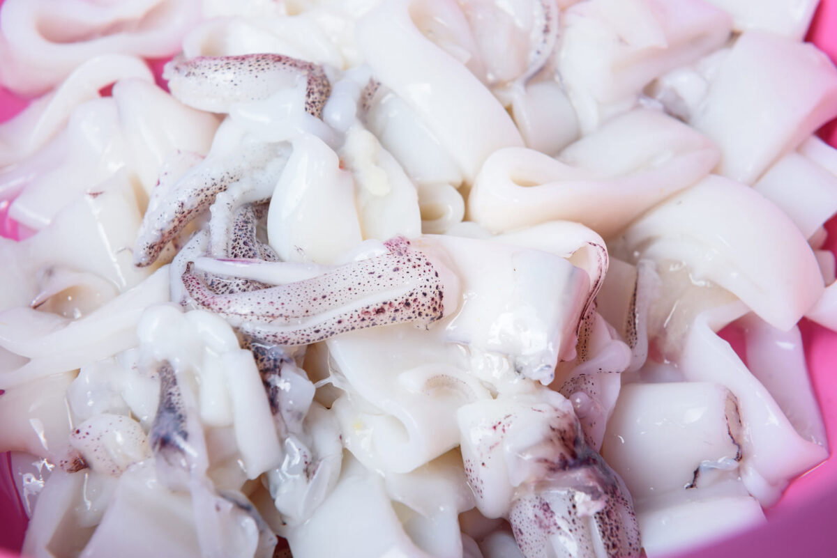 limpieza calamares paso 9