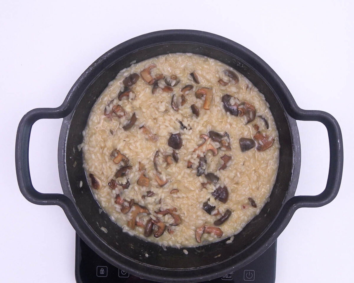 risotto de níscalos paso 19