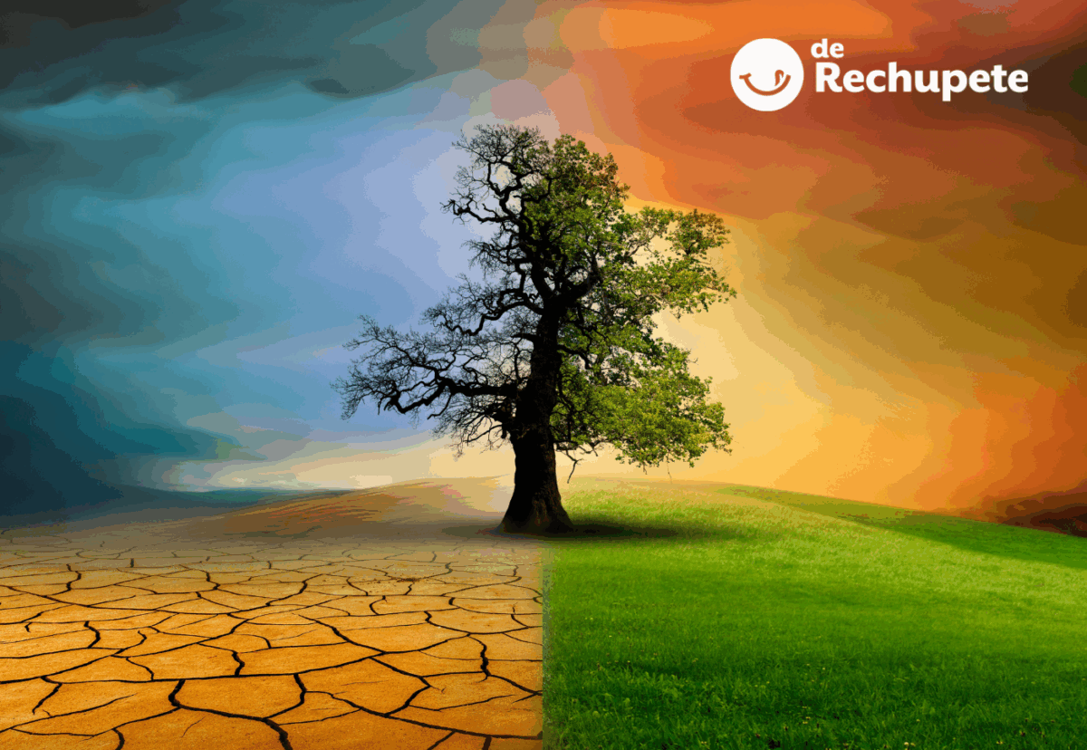 alimentos en peligro por el cambio climático