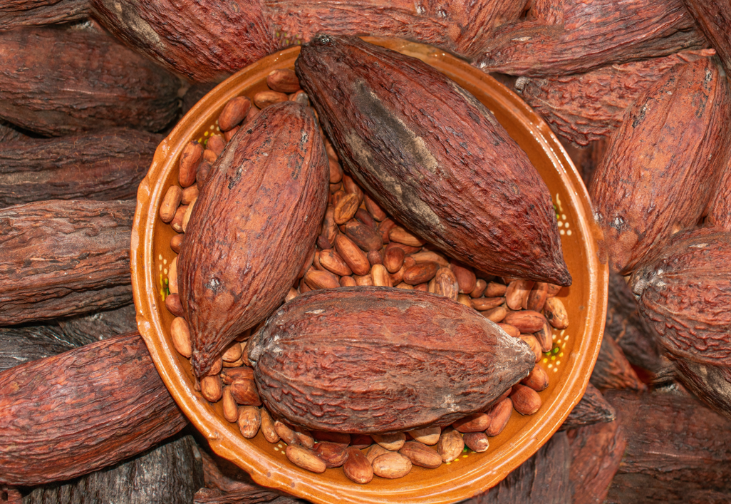 Chocolate sin cacao. ¿Es posible? Alternativa sostenible que quiere cambiarlo todo