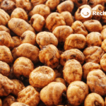 Chufa: qué es, origen, propiedades y usos tradicionales