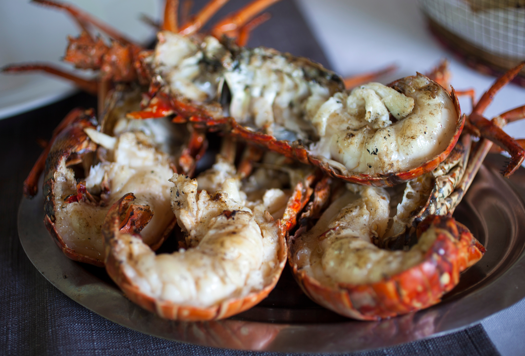 Cómo cocinar un bogavante de forma perfecta