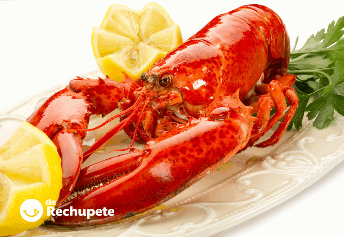 Diferencias entre langosta y bogavante
