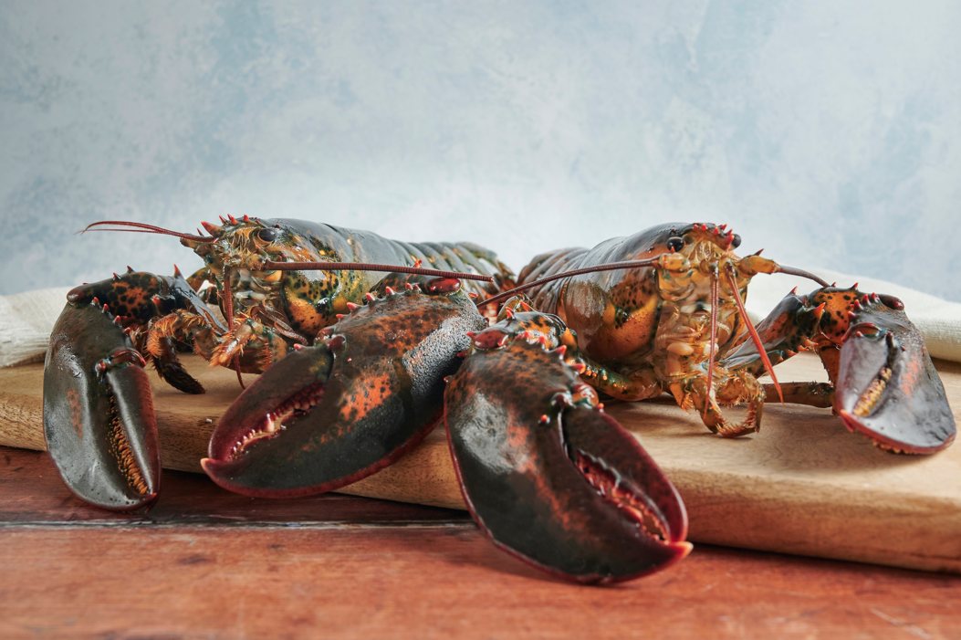 Diferencias entre langosta y bogavante