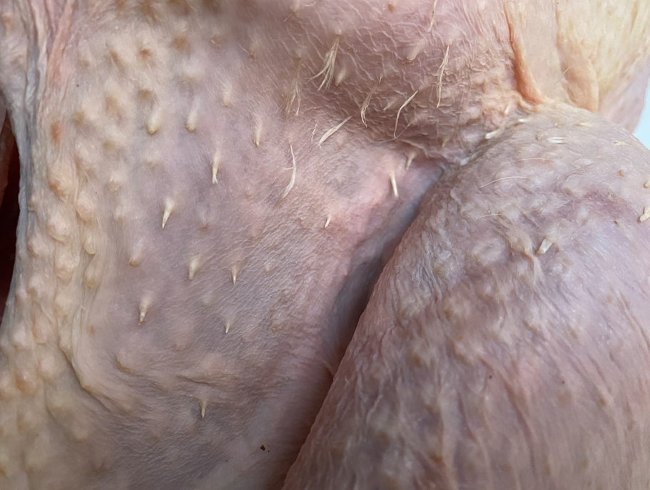 Pavo al horno sin relleno