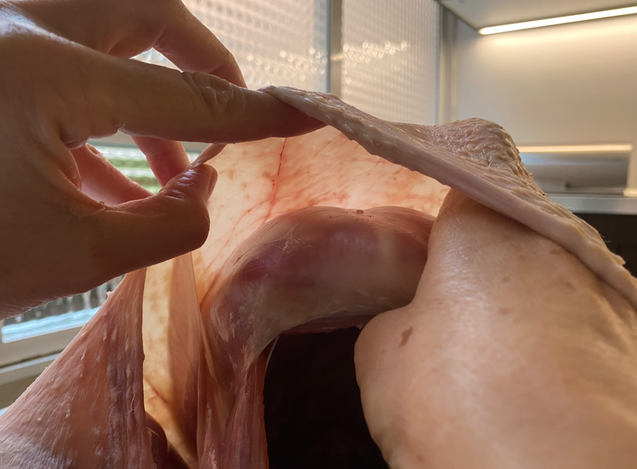 Pavo al horno sin relleno