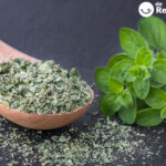 Mejorana. ¿Qué es? Curiosidades, consejos y usos en la cocina
