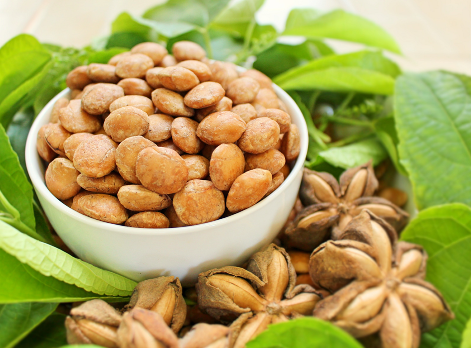 Sacha inchi: origen, propiedades, beneficios y cómo incorporarlo a tu cocina