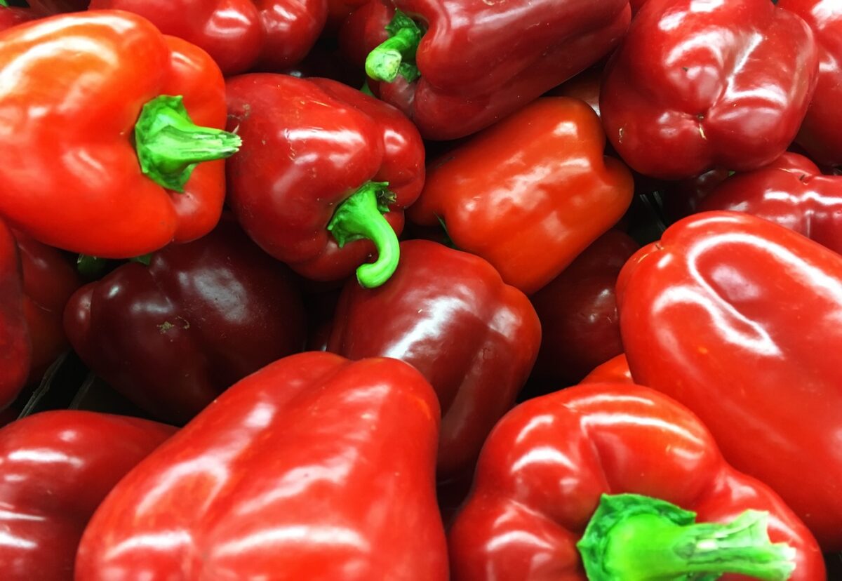 Salsa de pimientos