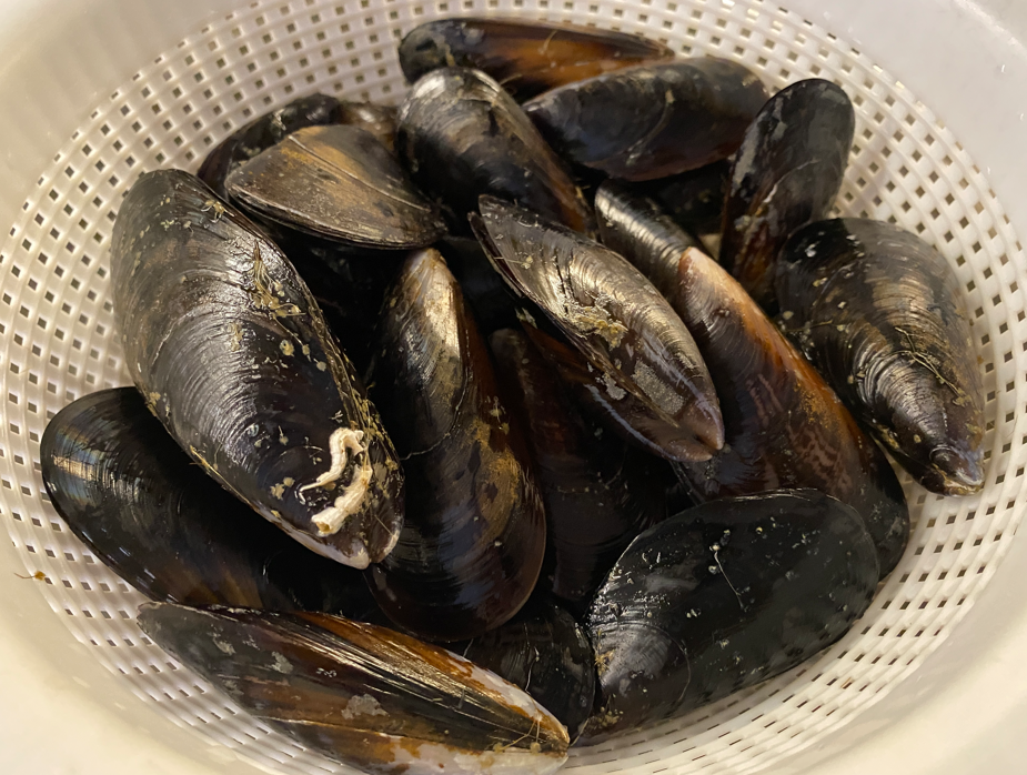 Sopa de mejillones