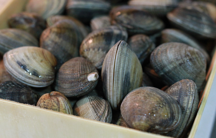 Cómo abrir almejas y mejillones en casa. Guía fácil y segura