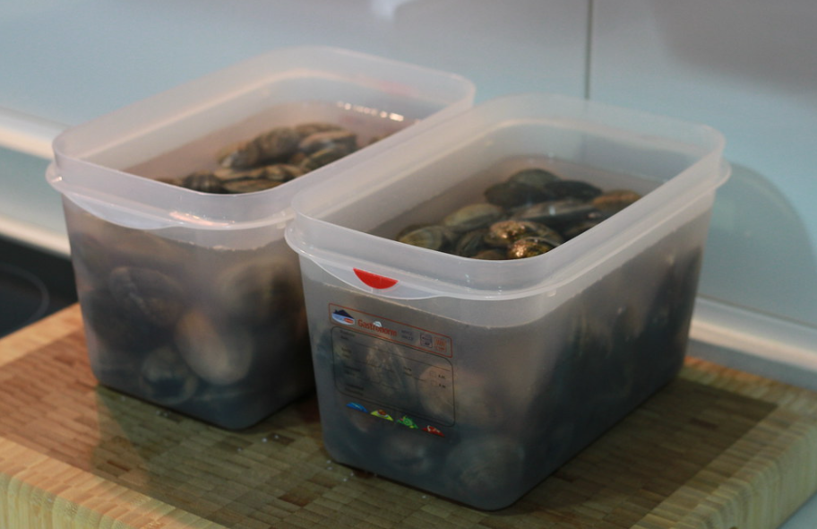 Cómo abrir almejas y mejillones en casa. Guía fácil y segura