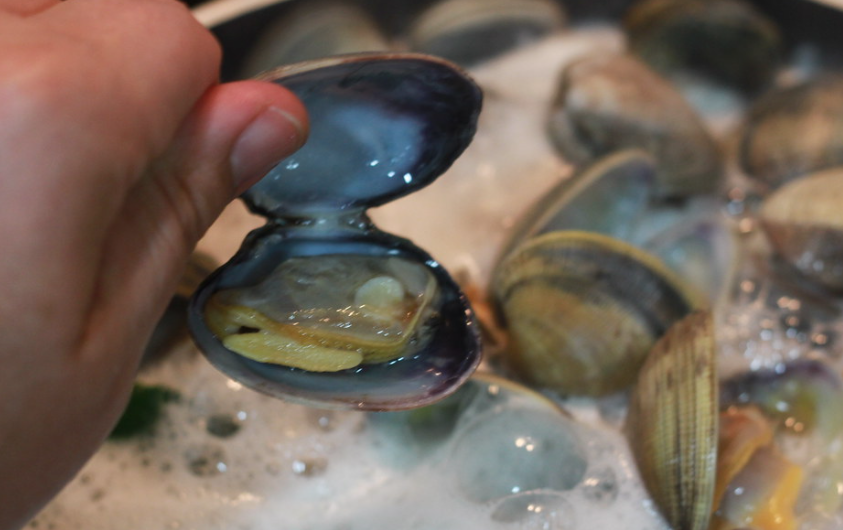 Cómo abrir almejas y mejillones en casa. Guía fácil y segura