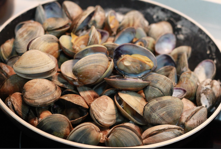 Cómo abrir almejas y mejillones en casa. Guía fácil y segura