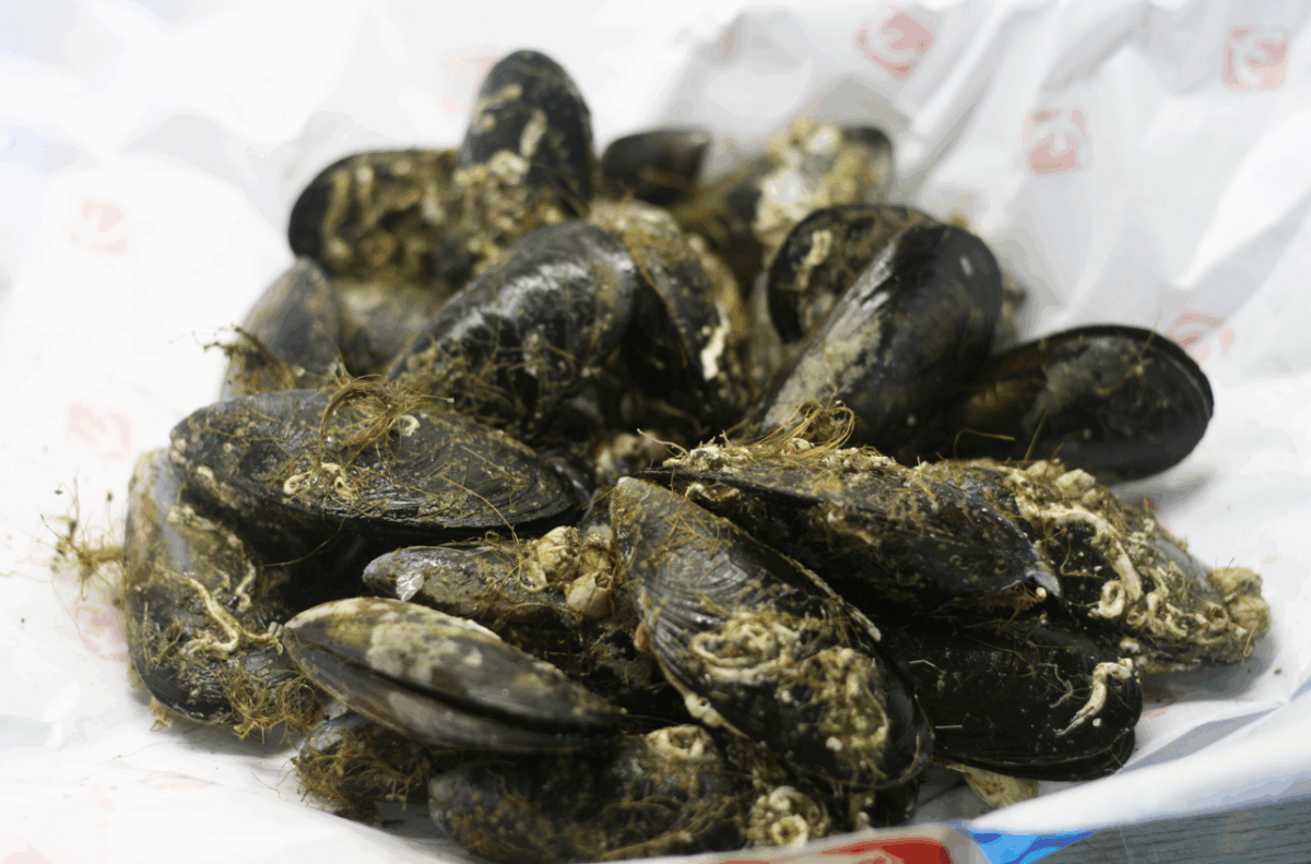 Cómo abrir almejas y mejillones en casa. Guía fácil y segura