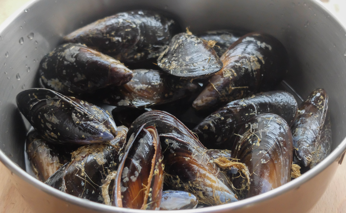 Cómo abrir almejas y mejillones en casa. Guía fácil y segura