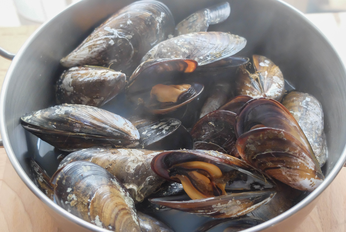 Cómo abrir almejas y mejillones en casa. Guía fácil y segura