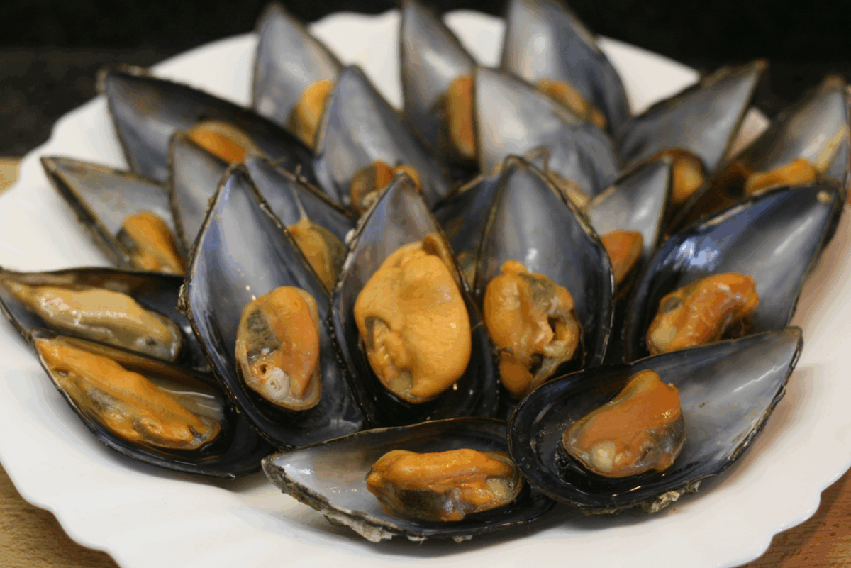Cómo abrir almejas y mejillones en casa. Guía fácil y segura