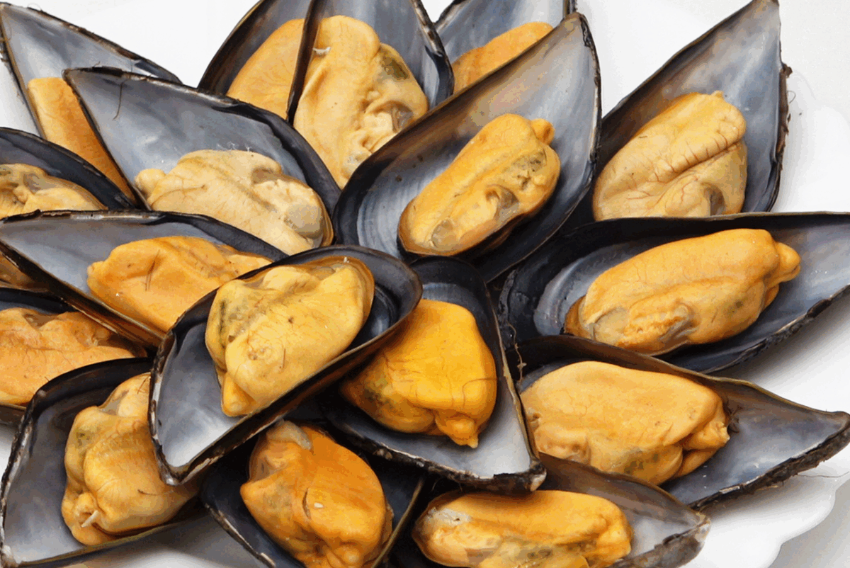 Cómo abrir almejas y mejillones en casa. Guía fácil y segura