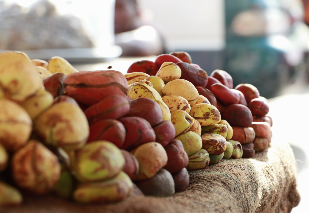 Nueces de cola: qué son, para qué sirven y cómo se usan en la cocina