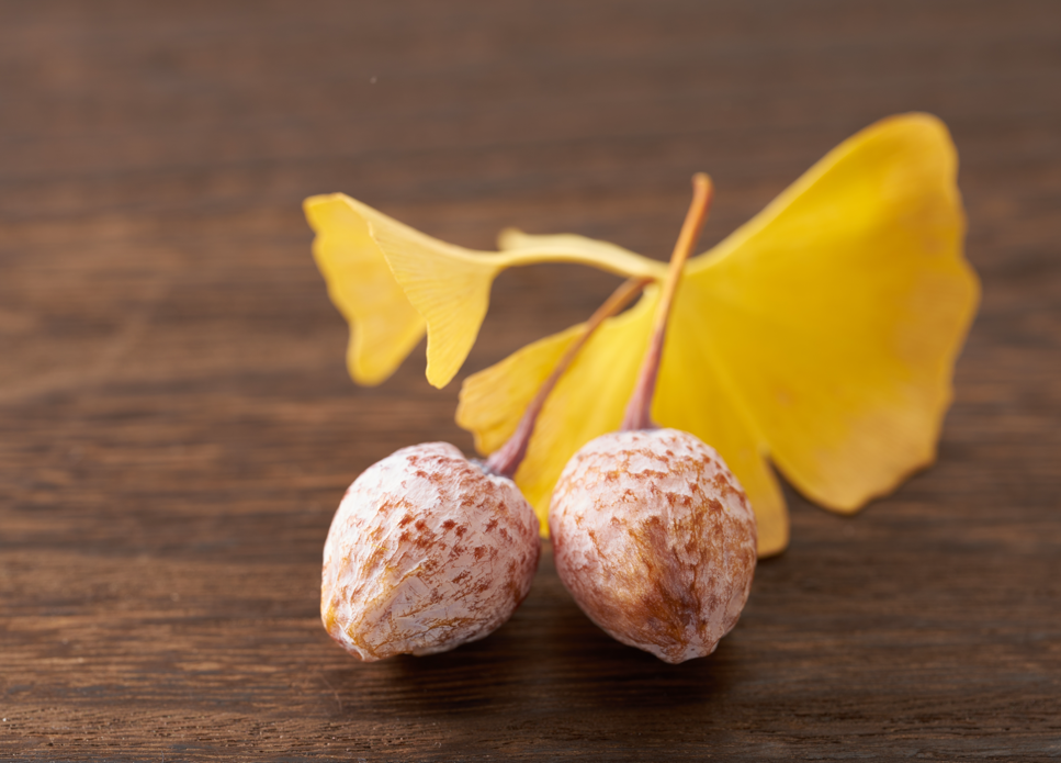 Nuez de ginkgo (China, Japón): qué es, origen, propiedades y precauciones