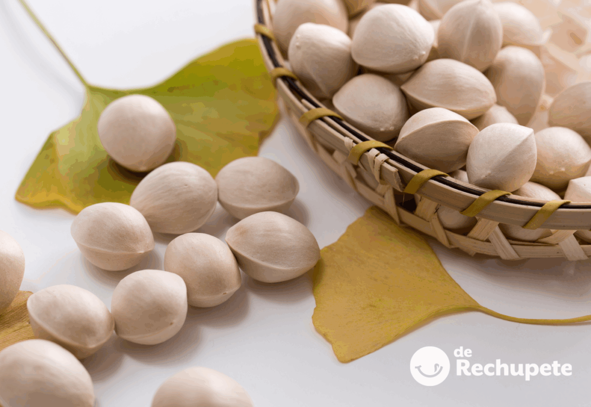 Nuez de ginkgo (China, Japón): qué es, origen, propiedades y precauciones