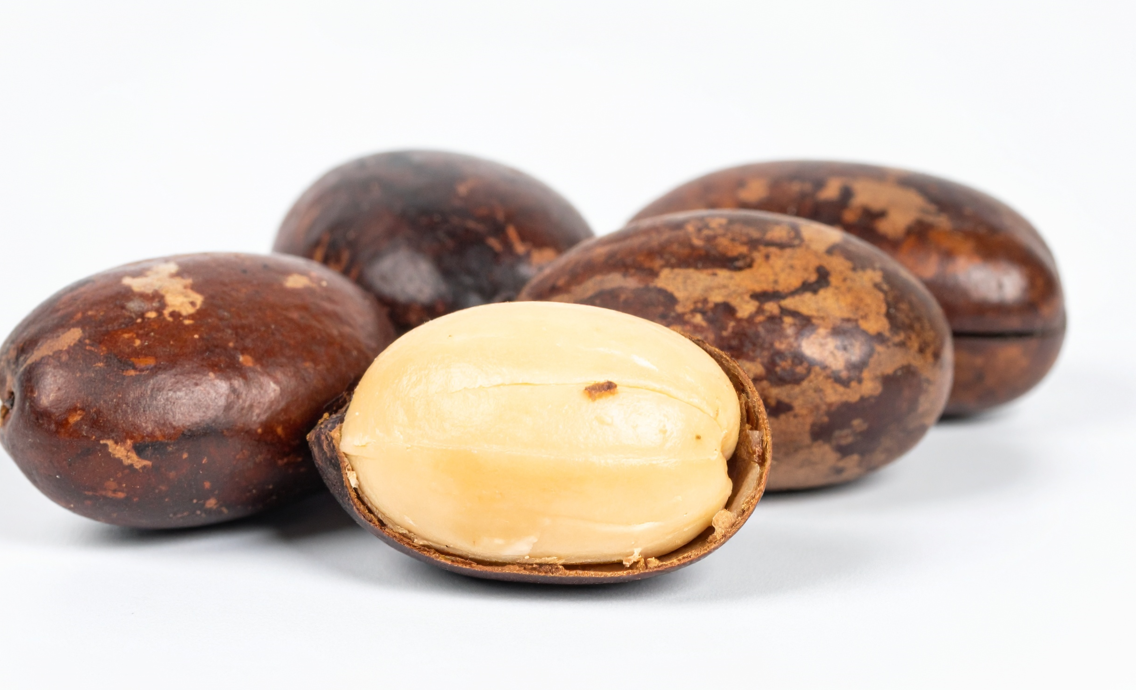 Pili nuts (nuez de pili): qué es, origen en Filipinas, propiedades y cómo usarla en la cocina