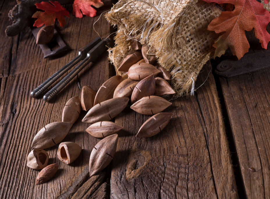 Pili nuts (nuez de pili): qué es, origen en Filipinas, propiedades y cómo usarla en la cocina