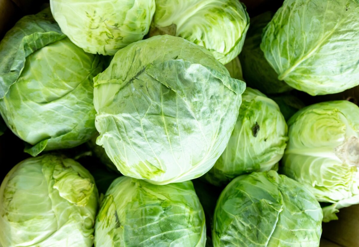 Repollo. Qué es, cómo cocinarlo y sacarle partido en la cocina de casa